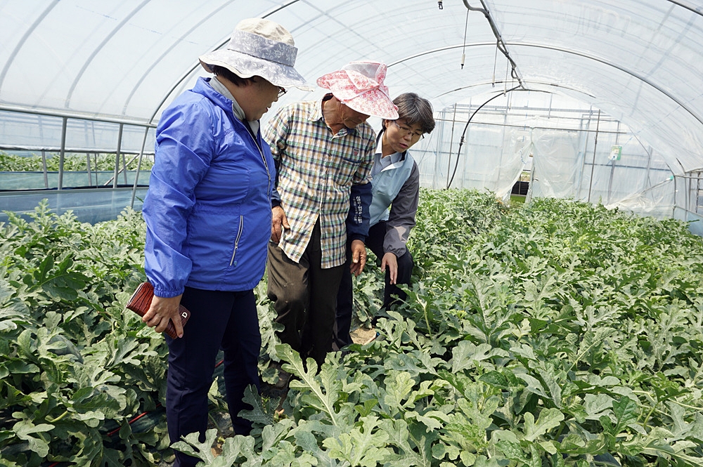 정읍시농업기술센터, 찾아가는 영농현장 서비스 강화