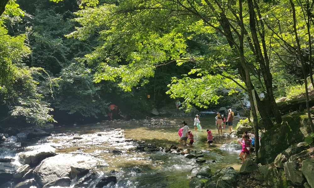 강원도산림개발연구원 집다리골자연휴양림