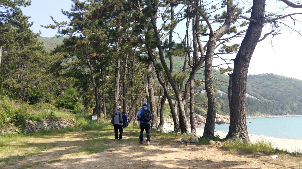 완도 생일도 섬길, 트레킹코스로 인기