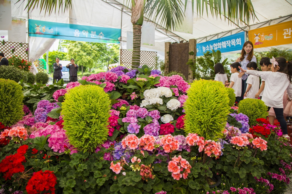 울산, 지역 화훼 우수성 알리는 '제13회 북구 봄꽃뜨레 이야기'