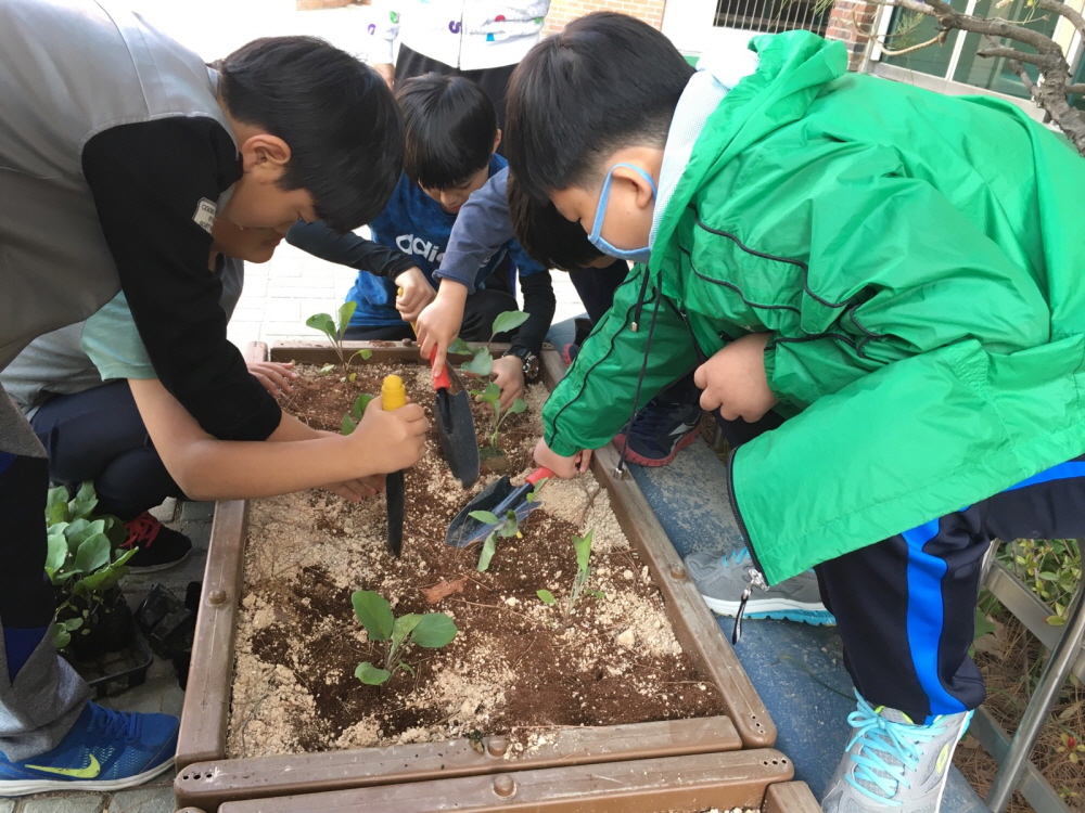 광진구, 학교텃밭’에서 생(生)생(生)하게 놀자!