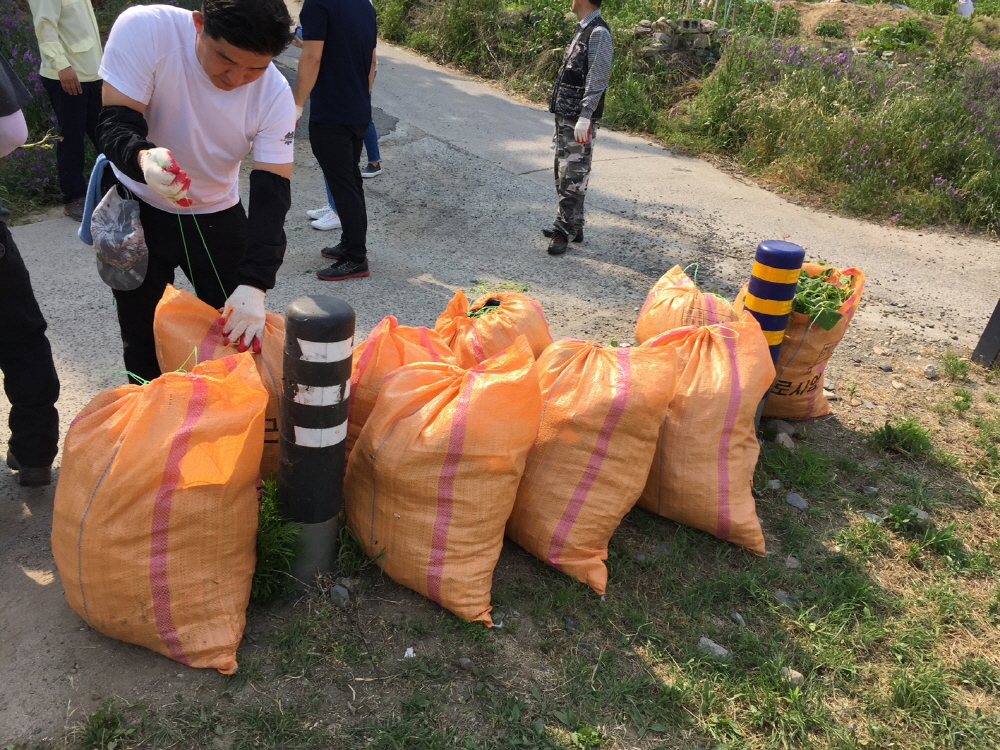 대구 북구청, 생태계교란 야생식물(가시박) 민․관 합동 제거!