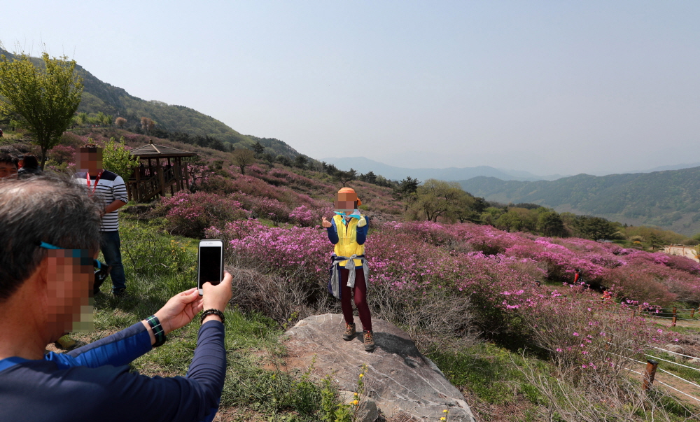 [포토뉴스] 철쭉과 함께 인증샷 ‘찰칵’