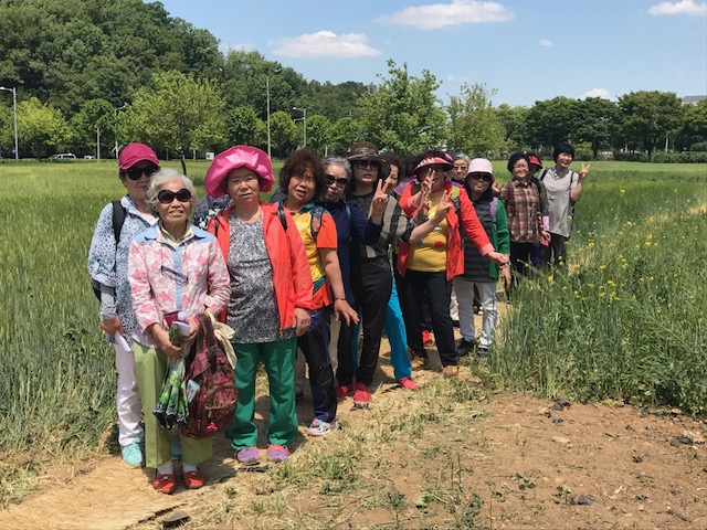 인천 남동구, 남동문해학교 남동구 청보리밭을 걷다