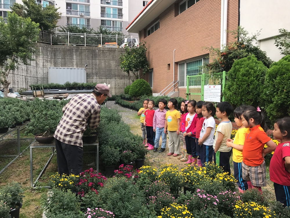 부산영도구, ‘아이들아, 국화마을에서 놀자’ 프로그램 운영
