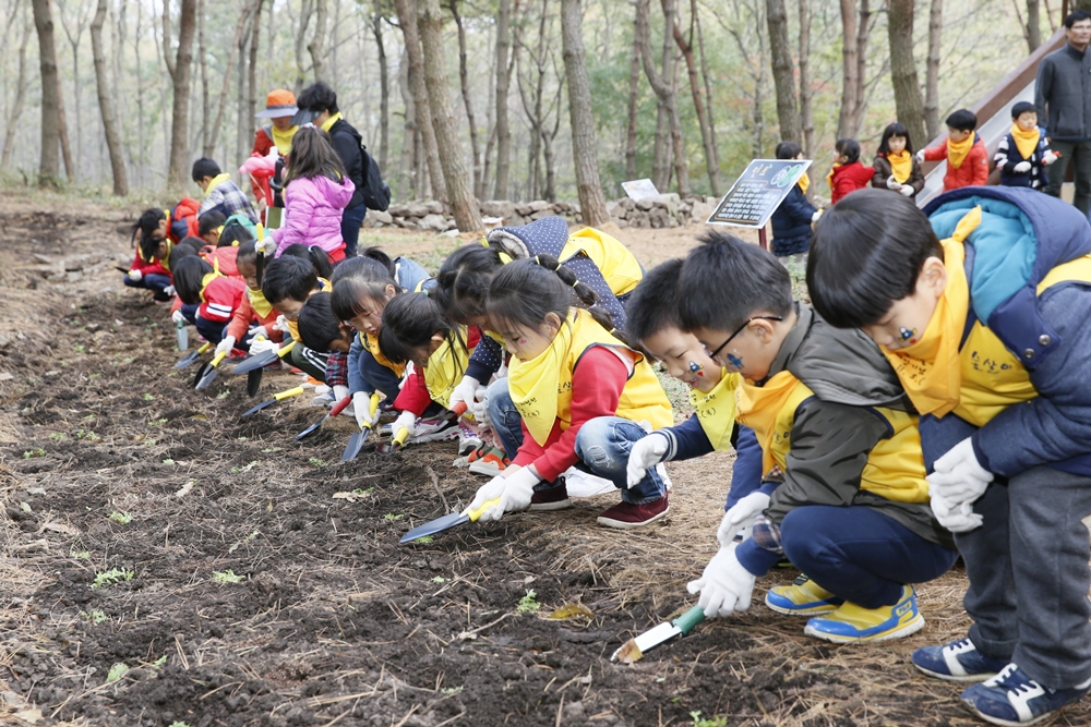 보성군, 2017년 산림행정 종합평가 우수기관 선정