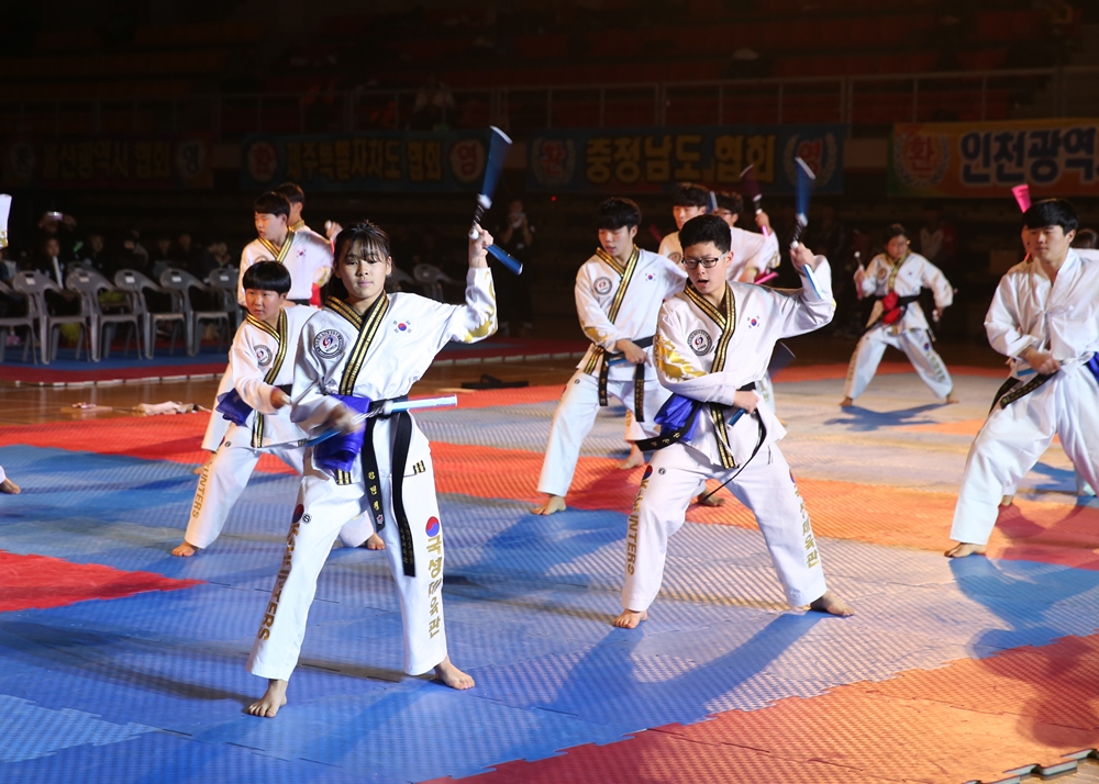 2017 전통스포츠 전국 합기도 대회 개최