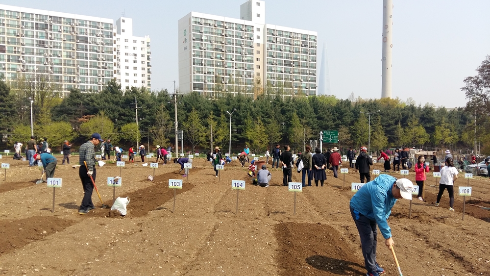강남구, 텃밭 가꾸는 도시농부 모집