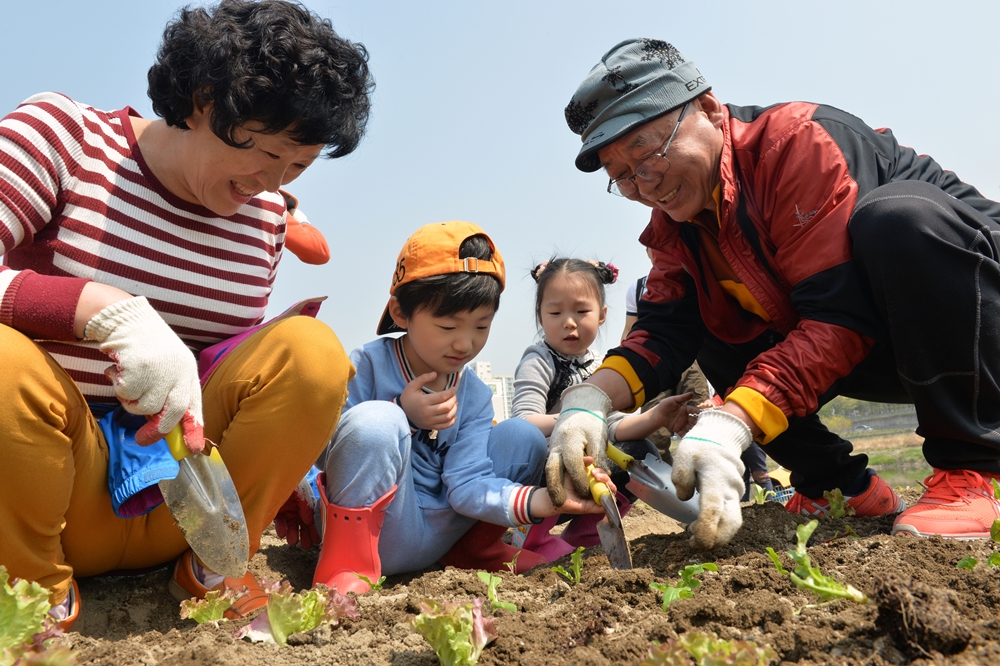 싱그러운 도심속 녹색텃밭, 중랑천농부 모집합니다