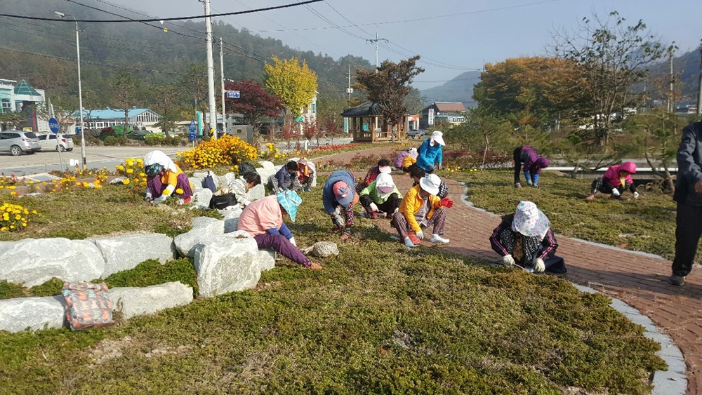 진안군, 노인일자리 지원사업 확대