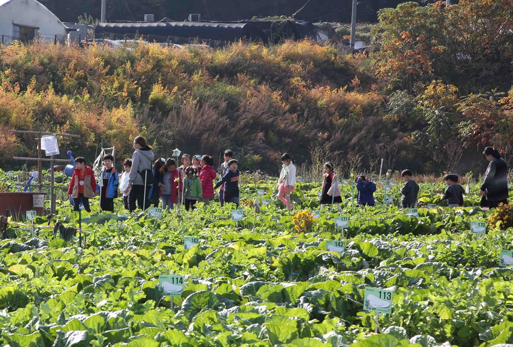 올해 취미로 농사 어떠세요?