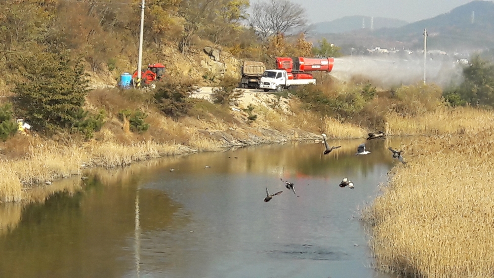 사천시, 설 명절 대비 AI·구제역 차단방역 강화