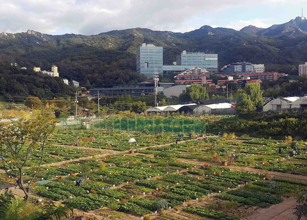 관악구 도심 속 텃밭 일구는 도시농부 되세요~