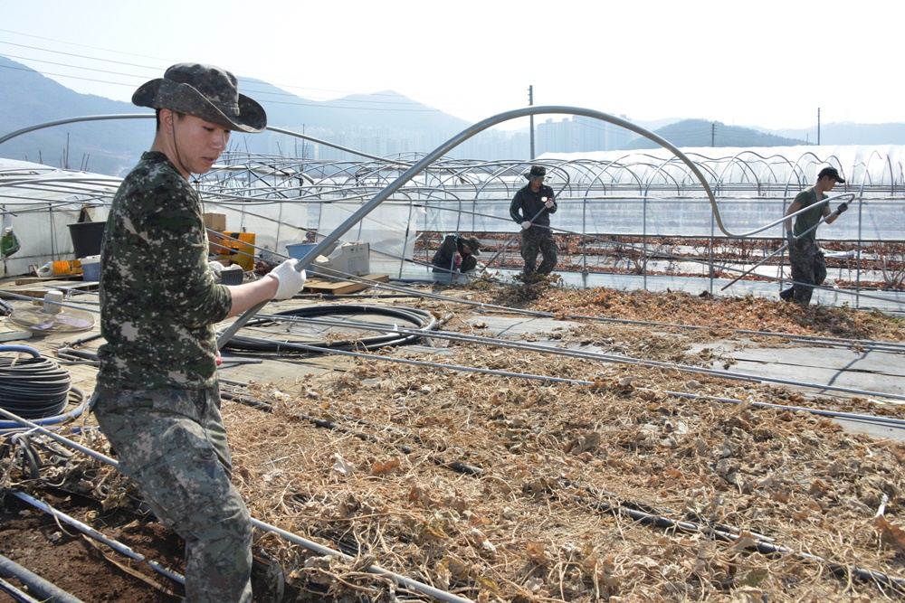 달성군, 군 장병 폭설피해농가 복구지원