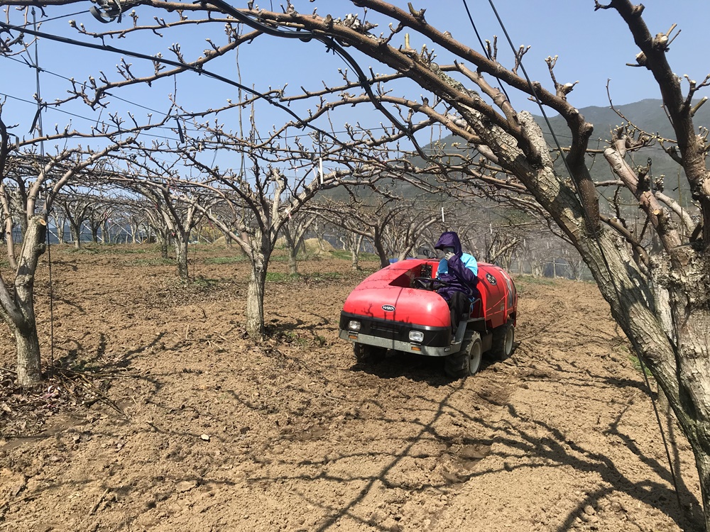 구례군, 과수화상병 사전방제 총력