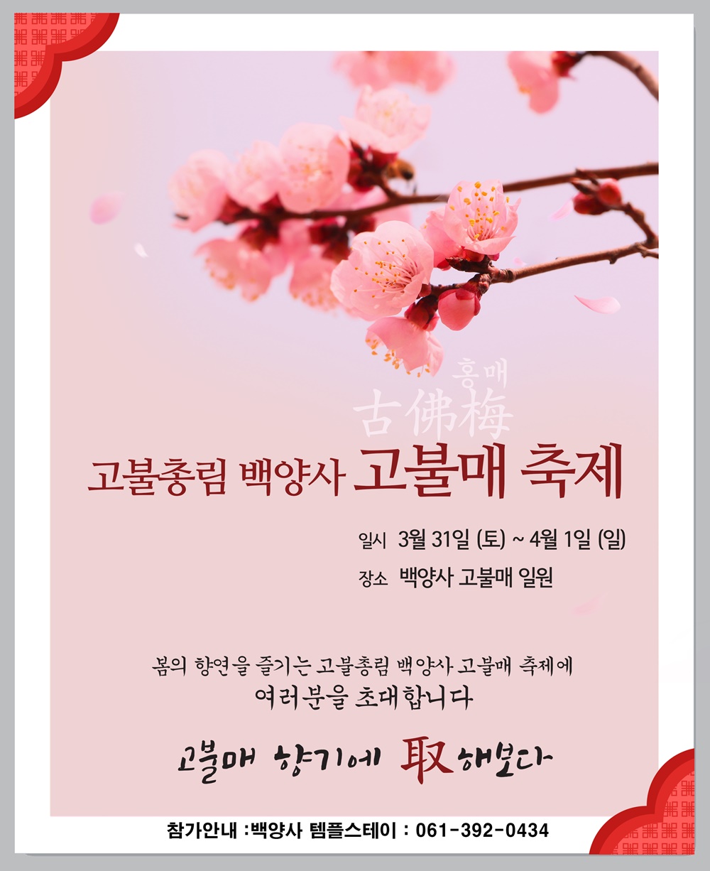 장성 고불총림 백양사 천연기념물 제 486호 고불매 “겨울의 추위를 이겨내고 봄을 말하다”