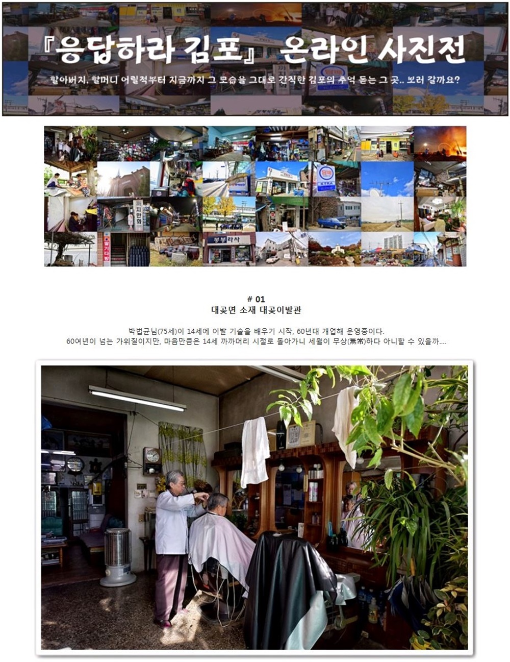 “응답하라 김포” 온라인 사진전 인기