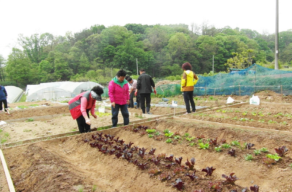 자연을 벗 삼아 살어리랏다…구로구, 귀농·귀촌학교 운영