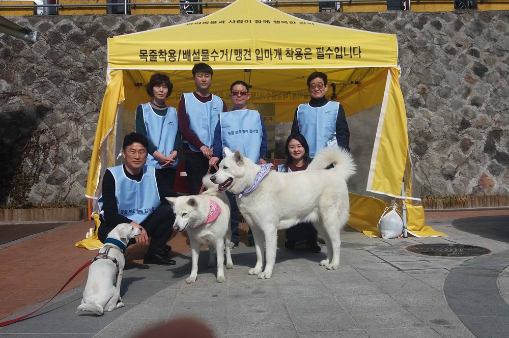 외출 전 ‘반려견 산책 에티켓’ 꼭 체크하세요