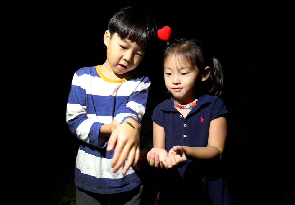 무주반딧불축제, 대표축제답게 기본부터 다진다!