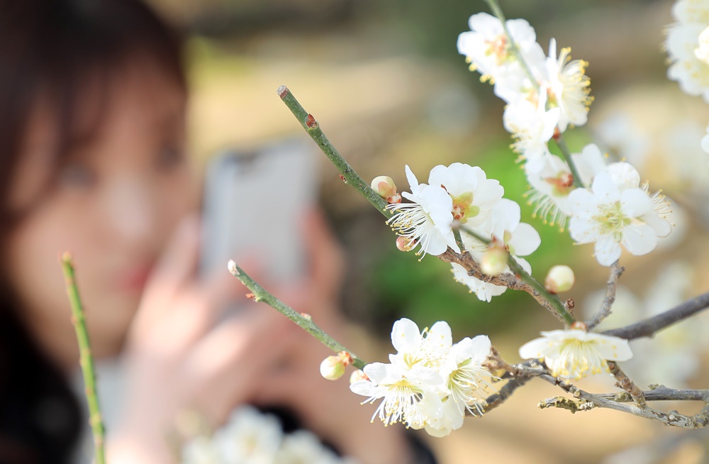 [포토] '경칩’ 산청 동의보감촌에 찾아온 봄