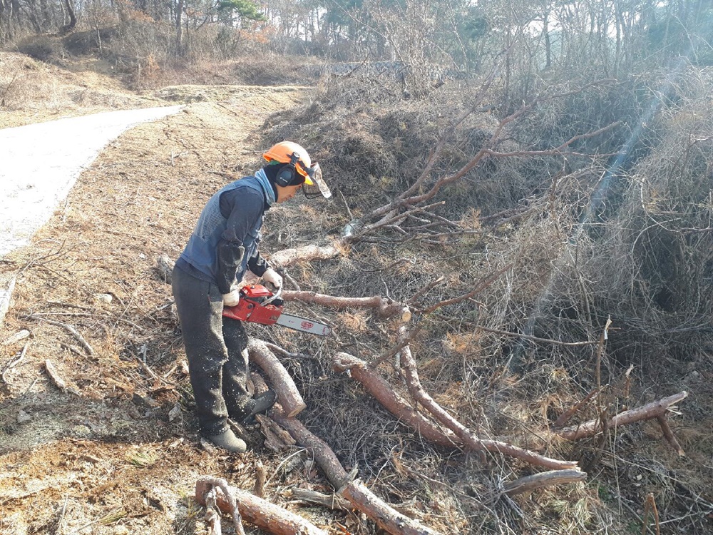 상주시, 소나무재선충병 전년 대비 76% 감소