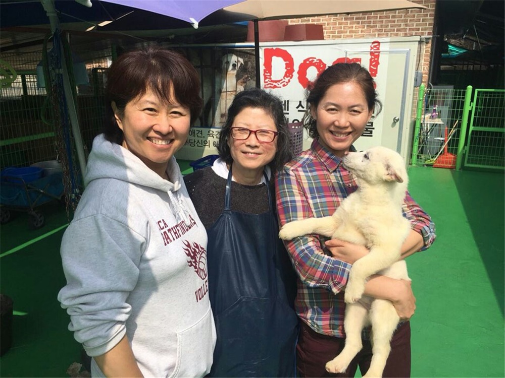 전주시·동물보호단체 협력 결실, 오송제 구조견들 새 주인 만난다