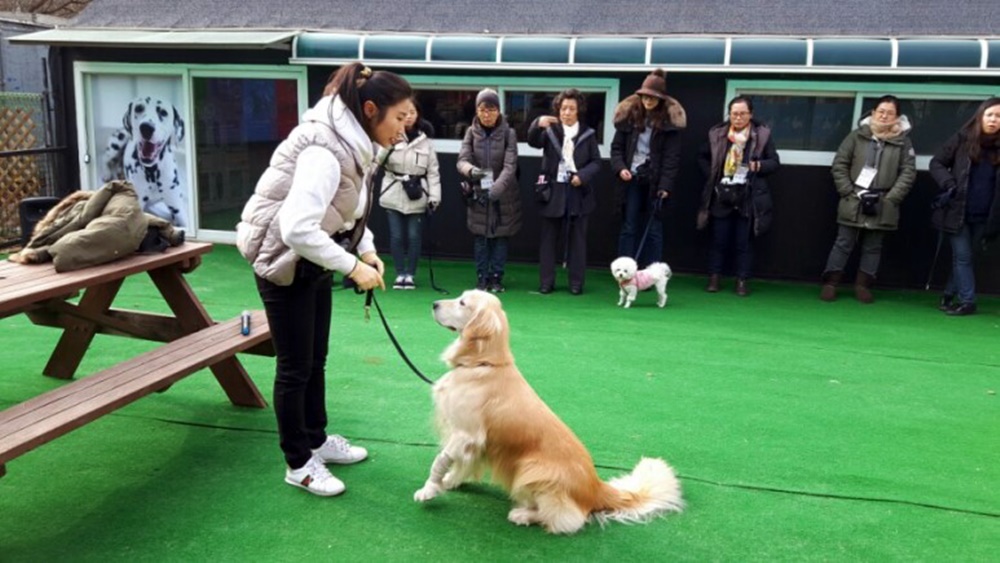 반려동물 함께 행복한 관악구, ‘펫시터’ 양성한다