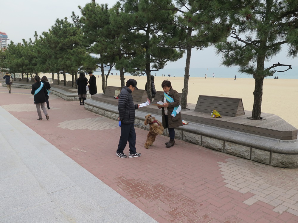 해운대구, 공동주택 대상 ‘찾아가는 펫티켓 캠페인’