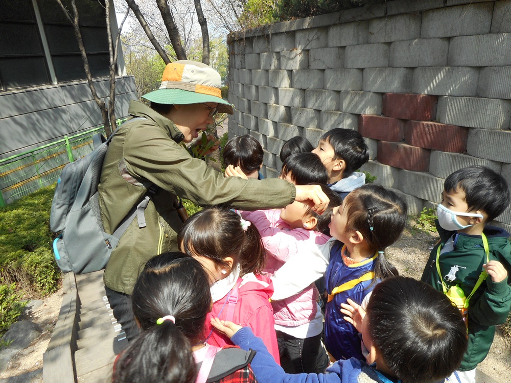 '숲에서 놀자' 무학봉 숲교실