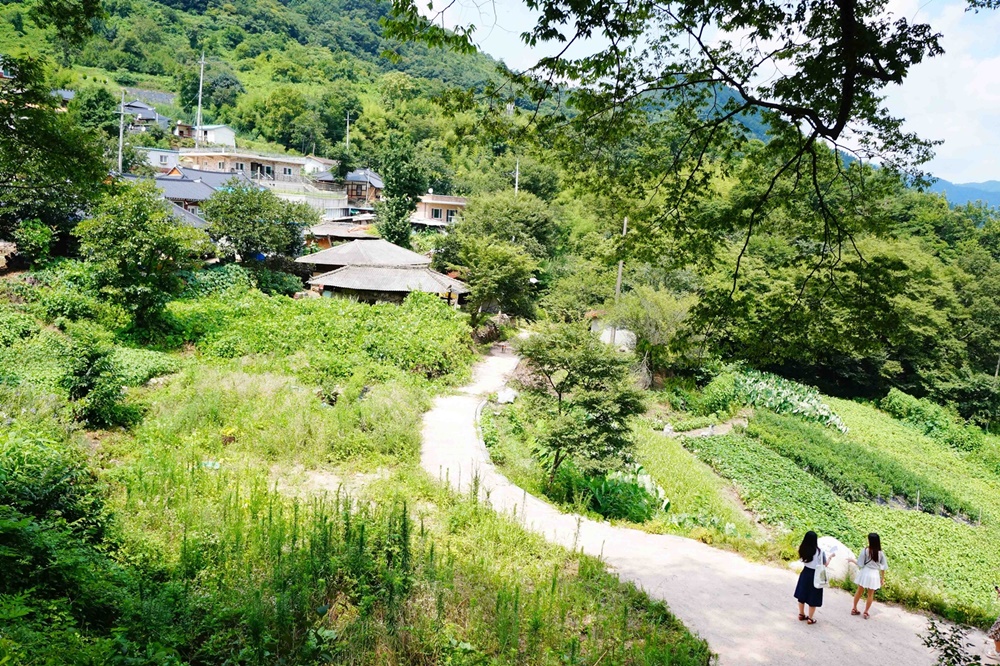 “시티투어버스 타고 임실로 놀러오세요”