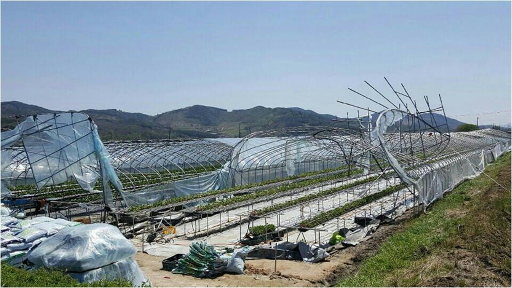 산청군 농작물 재해보험료 90% 지원