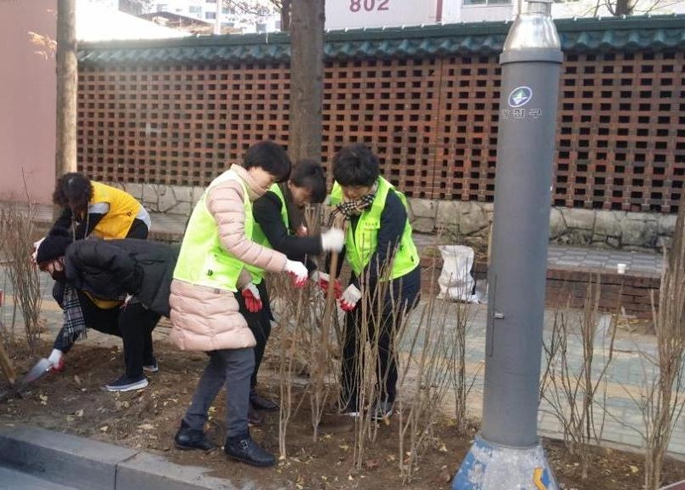 우리동네 가로수는 주민이 직접 돌봐요