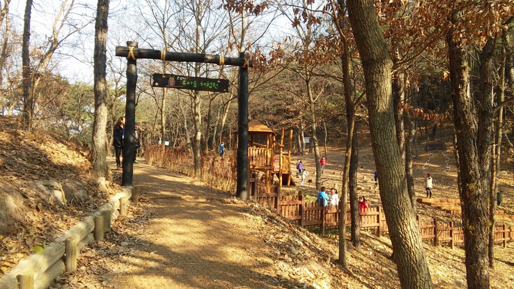 연암공원 내 유아숲체험원 조성