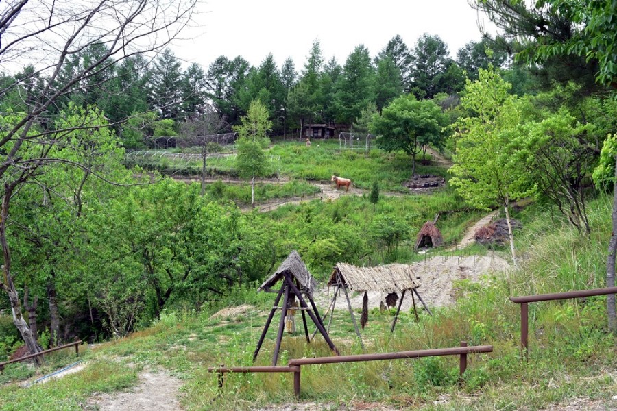 태백시 ‘본적산 황부자며느리 친정가는 둘레길’ ..2018 봄 우리나라 걷기 여행축제 선정