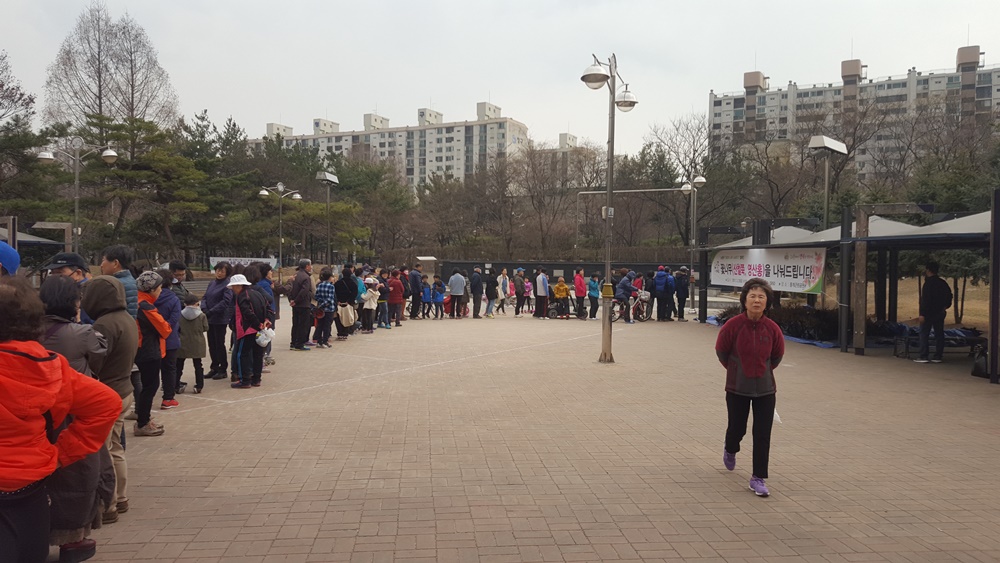 영산홍, 산철쭉 나눠드려요