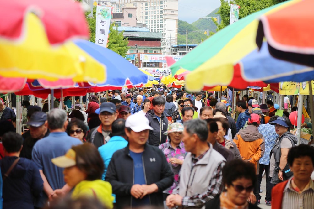 제9회 양평 용문산 산나물 축제, 10만명 방문