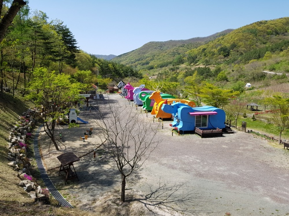 비학산 자연휴양림, 동해안 최고의 힐링명소로 탈바꿈