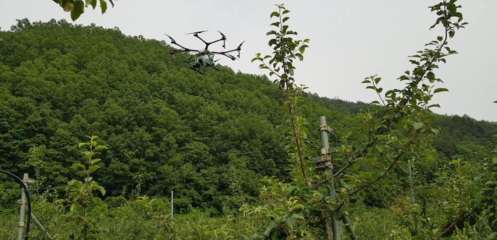 농지 연접 산림지 돌발해충 꼼짝마! 하늘과 땅에서 공동방제 실시