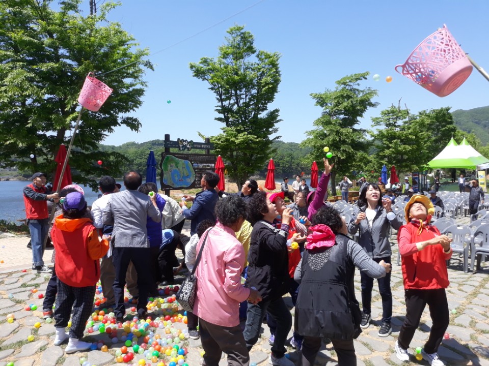 옥정호 꽃걸음 빛바람축제 대성황