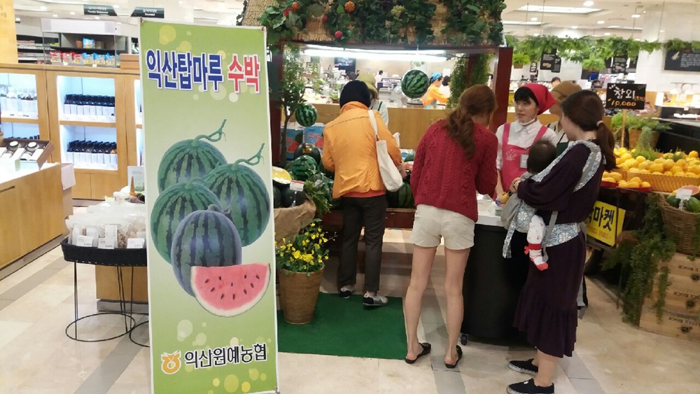 익산 탑마루 수박 서울시민 입맛 사로잡아