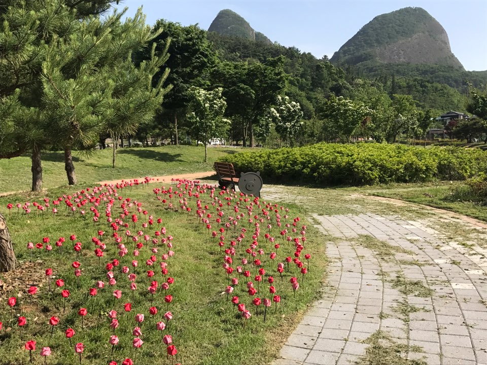 진안홍삼축제 밝혀줄 한지꽃, 마이산 북부에 피어