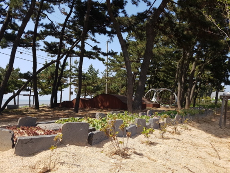 고창군 해리면, 아름다운 동호해수욕장 만들기에 구슬땀