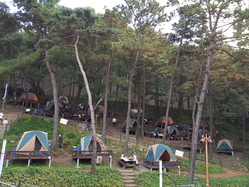 대전 중구, 뿌리공원 캠핑장 새단장 마치고 개장