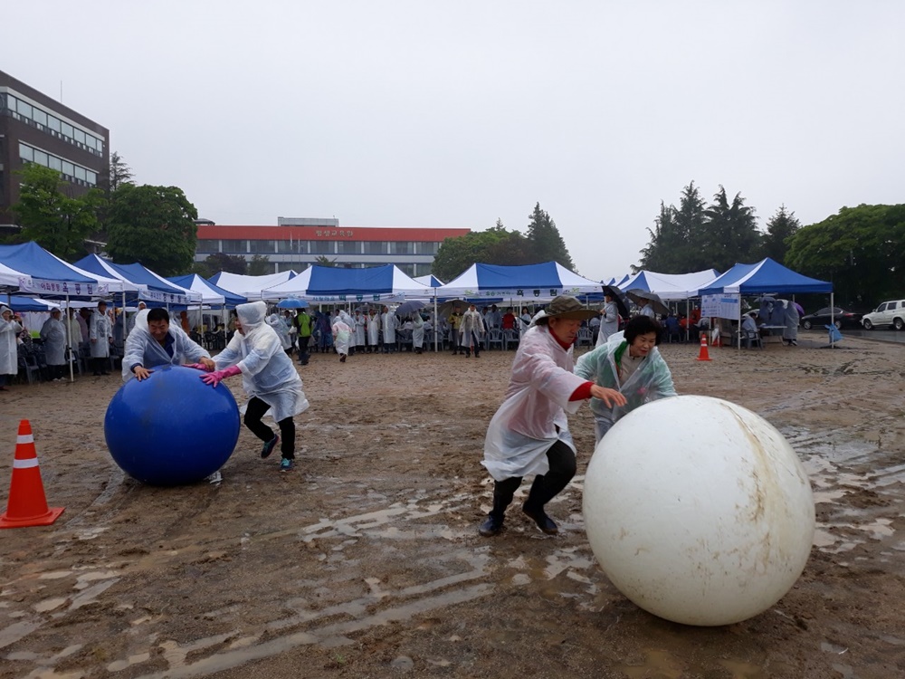 공주시 옥룡동, 제4회 동민 화합체육대회 및 경로효잔치 개최
