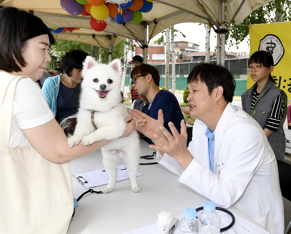 댕댕이들아~함께 놀자! 반려동물 페스티벌