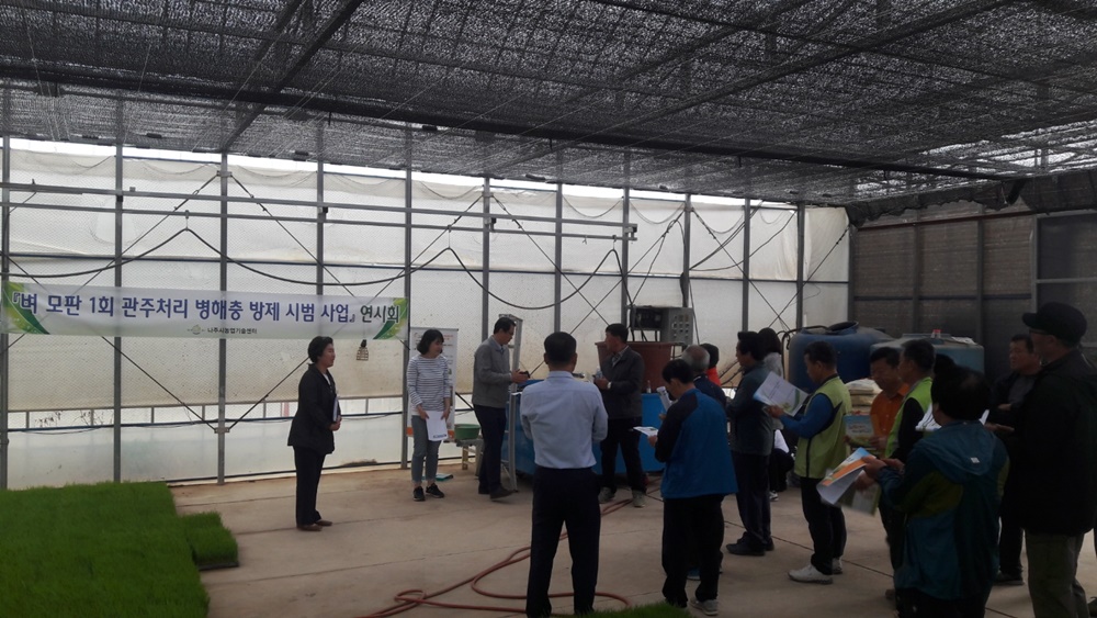나주시, 벼 모판 1회 관주처리 도입 … ‘병해충 한번에’
