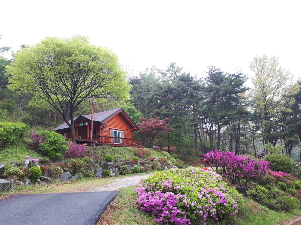 예산군, 봉수산 자연휴양림 남녀노소 함께 즐기는 삼림욕장으로 인기