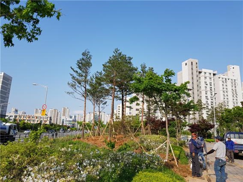 평택시 미세먼지 저감을 위한 1번국도변 가로숲 조성