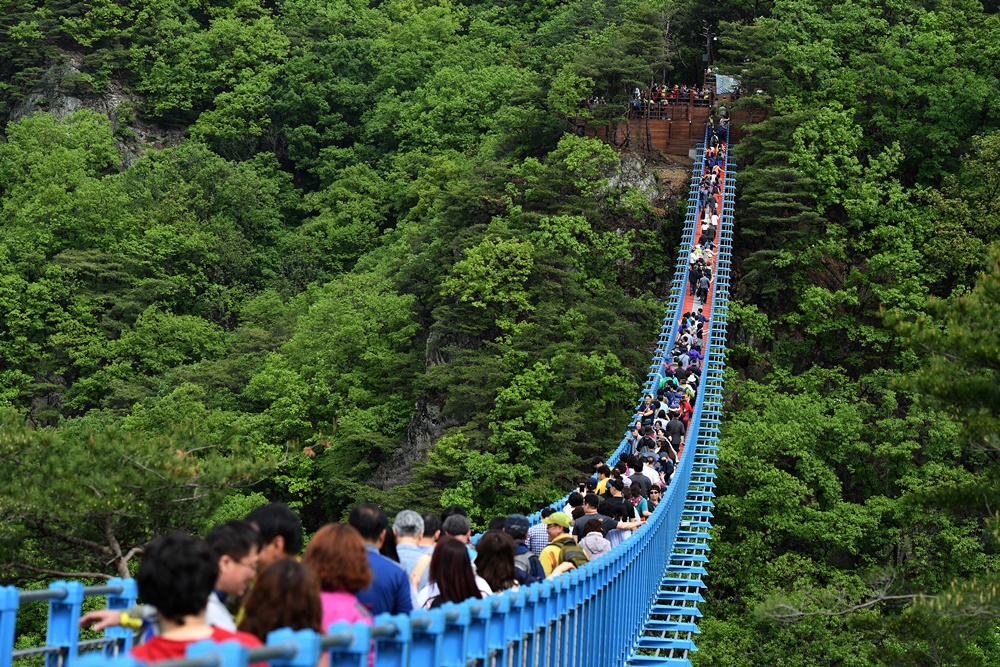 원주 소금산 출렁다리 관람객 100만 돌파